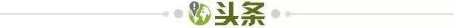 【早报】这把，全是恩怨局！
